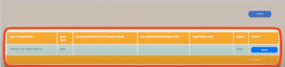 Screenshot of current assigned director owner