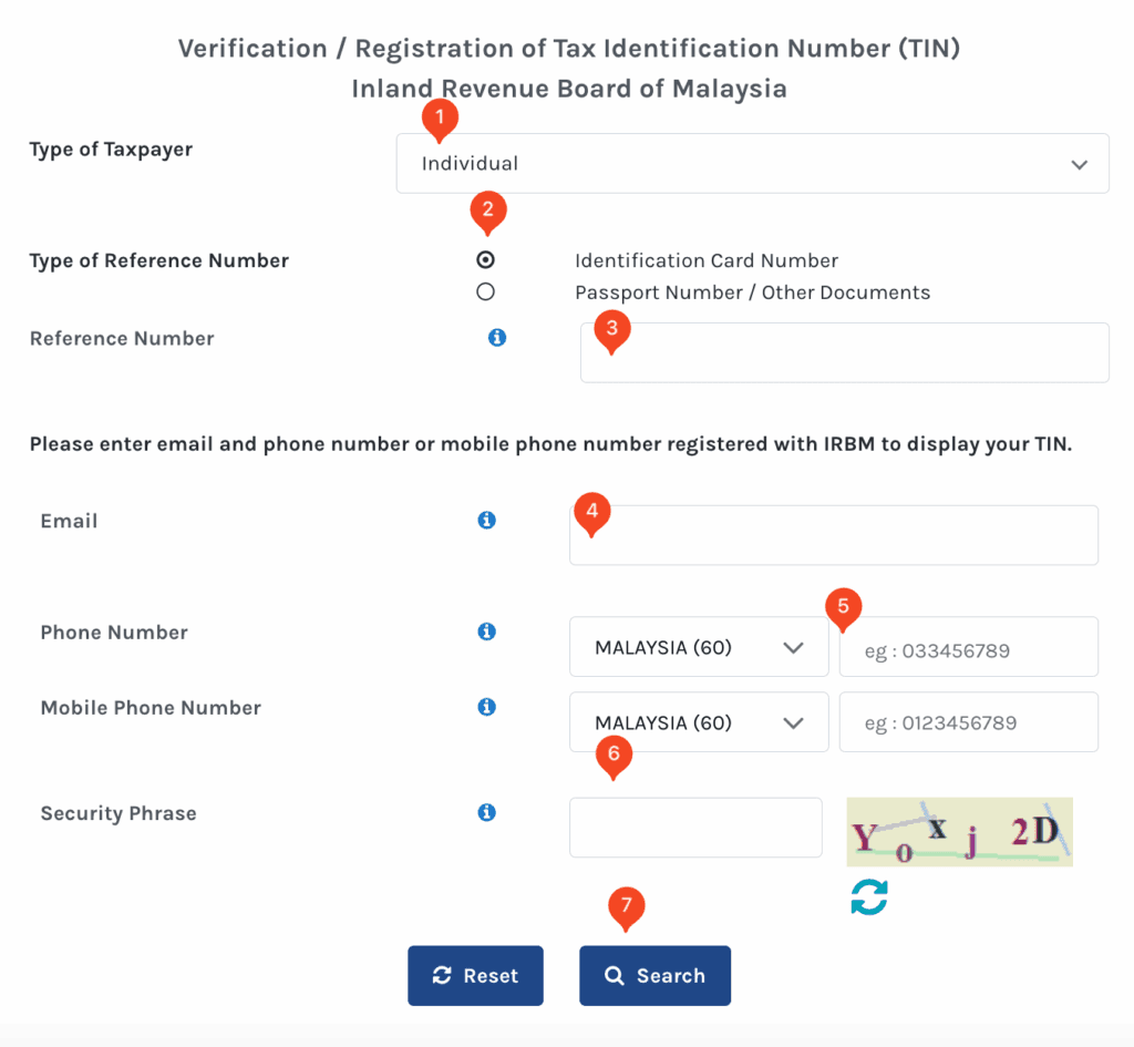 Screenshot of Verification / Registration of Tax Identification Number (TIN)